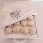 Il Danubio che lievita