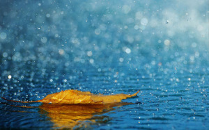 beautiful-rain-pictures-45-photos-36