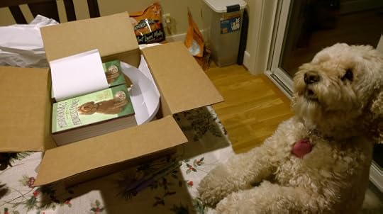 WP_20141212_23_22_07_Pro