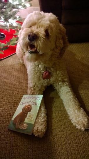 WP_20141212_23_23_38_Pro