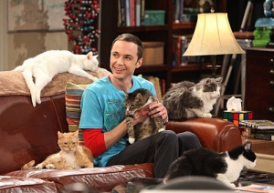 bazinga-cats-jim-parssons-sheldon-sheldon-cooper-tbbt-Favim.com-41452_large