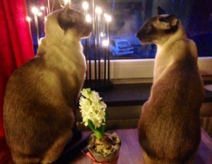 Då är det du och jag då, brorsan.