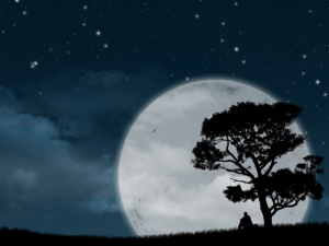 silentnight_final