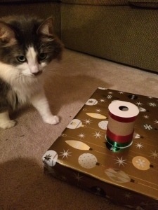 Are we running out of ribbon?!