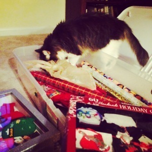 I like the skinny ribbon better! I know it's in here!