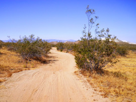 desert road