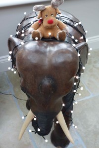 Elephant with lights