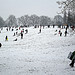 Hilly Fields in the snow