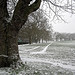 Hilly Fields in the snow