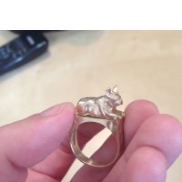 A finished bulldog ring, created by covering the wax sculpture in silver, brass, bronze, or gold