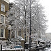 Snowy tree in New Cross