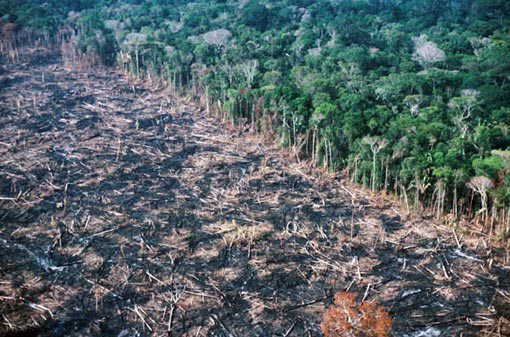 amazon_deforestation