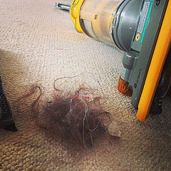 While everyone else is posting pictures of sunrises, ponies & frost, here's my view this morning. #vacuum