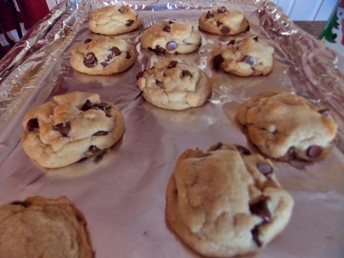Chocolate chip cookies by Sophia Kimble