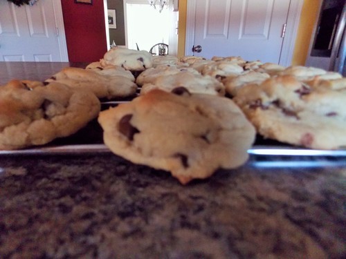 Chocolate chip cookies by Sophia Kimble