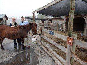 John, Bill, and the Zorse