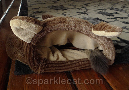 I'm hiding and you can't see me, right?