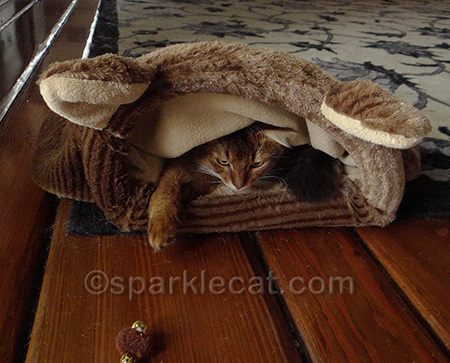 The toy can't see me either!