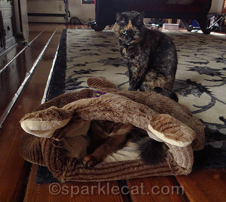 This is a sneak attack going the wrong way!