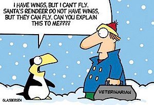 Funny-Christmas-Cartoons-27