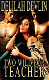 Two Wild For Teacher