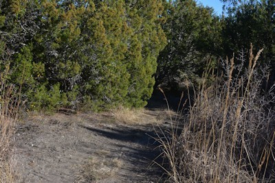 North-trail-diff-turn1-12-15-14