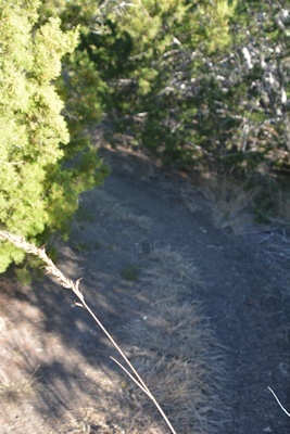 North-trail-diff-turn2-12-15-14