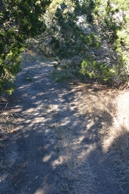 North-trail-diff-turn3a-12-15-14