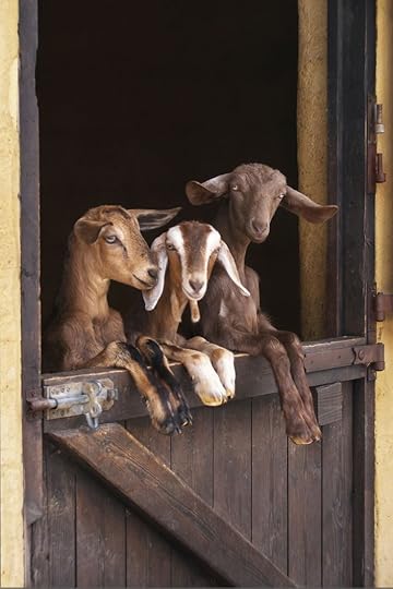 ''So much to see!'' by photographer Adrienne Elliot