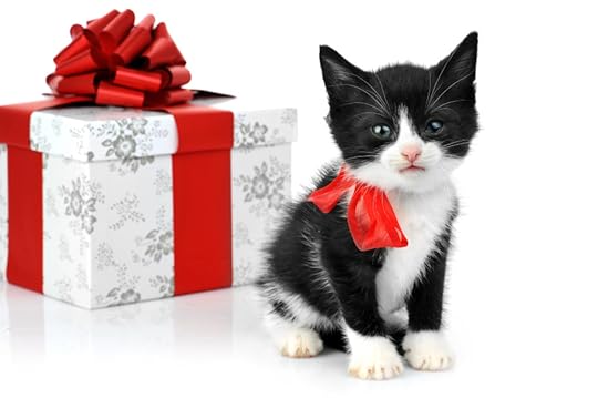 small cute kitten