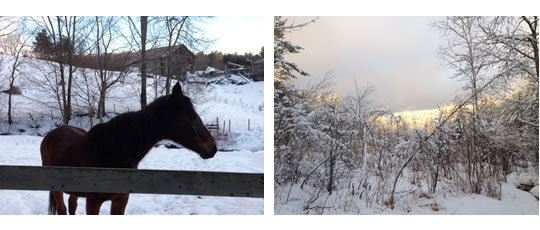 winter_blog1