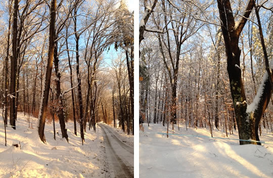 winter_blog2