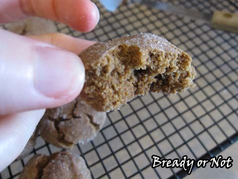 Cardamom Cookies3_sm