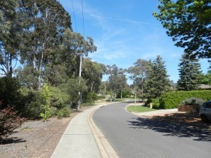 Election Day 2012 001