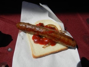 Election Day 2012 006