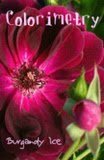 Burgundy Ice Rose 3 1 Colorimetry Author Interview & Giveaway