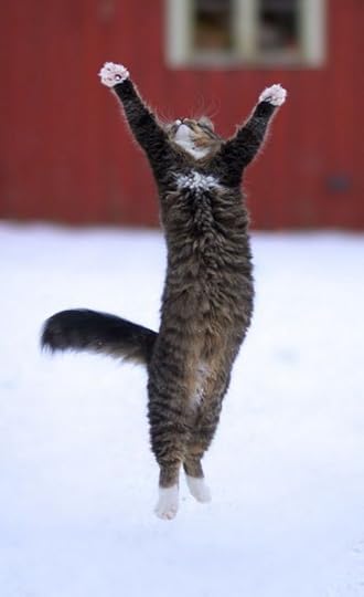 Photo courtesy of Pinterest