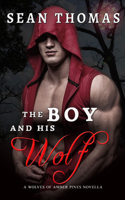 The-Boy-and-his-wolf-small
