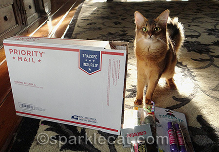 I needed a little help finishing the packing