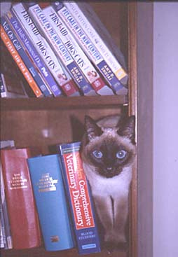 1-B-Seren&books 1-21-08