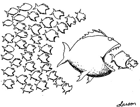 Don't ignore the small fish