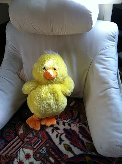 Stuffy Study #8 © Katie Rose Davis