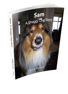 sasds_cover_3d_transp