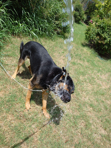 magic water 5