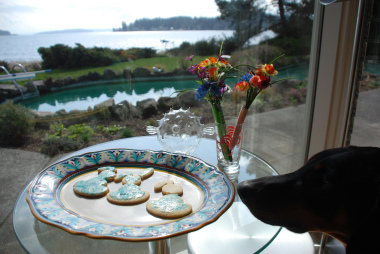 Barkis is interested in the cookies.