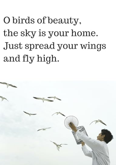 birds of beauty, sky, wings, 