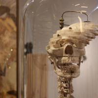 exploded-skull-1