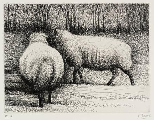 Sheep etching by Henry Moore