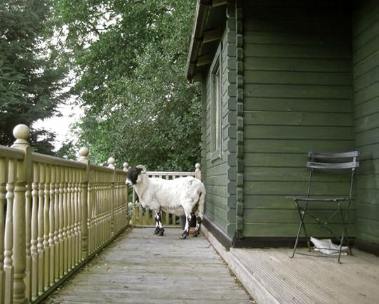 The Ram on Howard's Porch