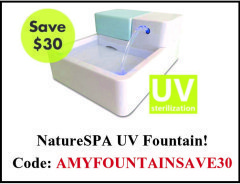 FountainAdvert